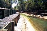 retaining wall pelican waters.jpg